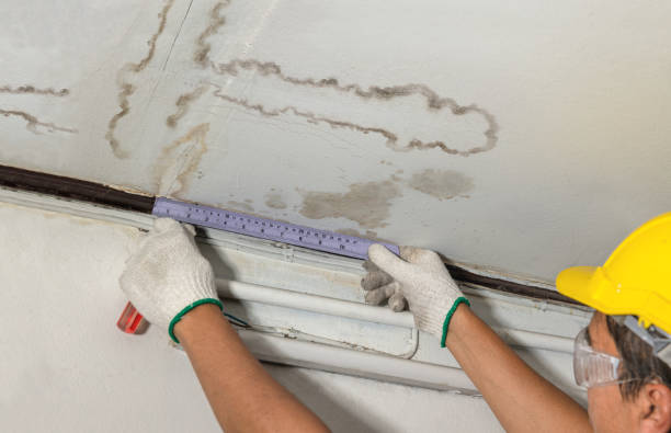 Reliable Structural Drying contractor in Plainville, MA by Water Damage Irwin